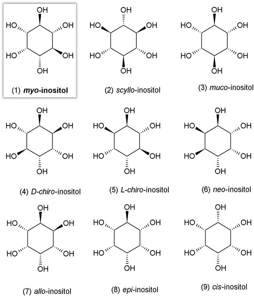 Types of Inositol (Illustration by Croze, ML and Soulage CO, 2013)