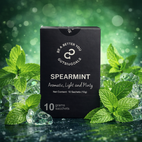 Spearmint Tea 10 sachets