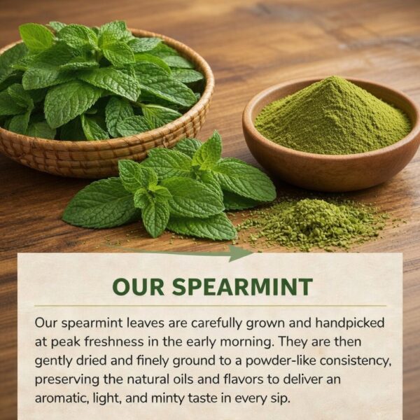Spearmint Tea 20 sachets