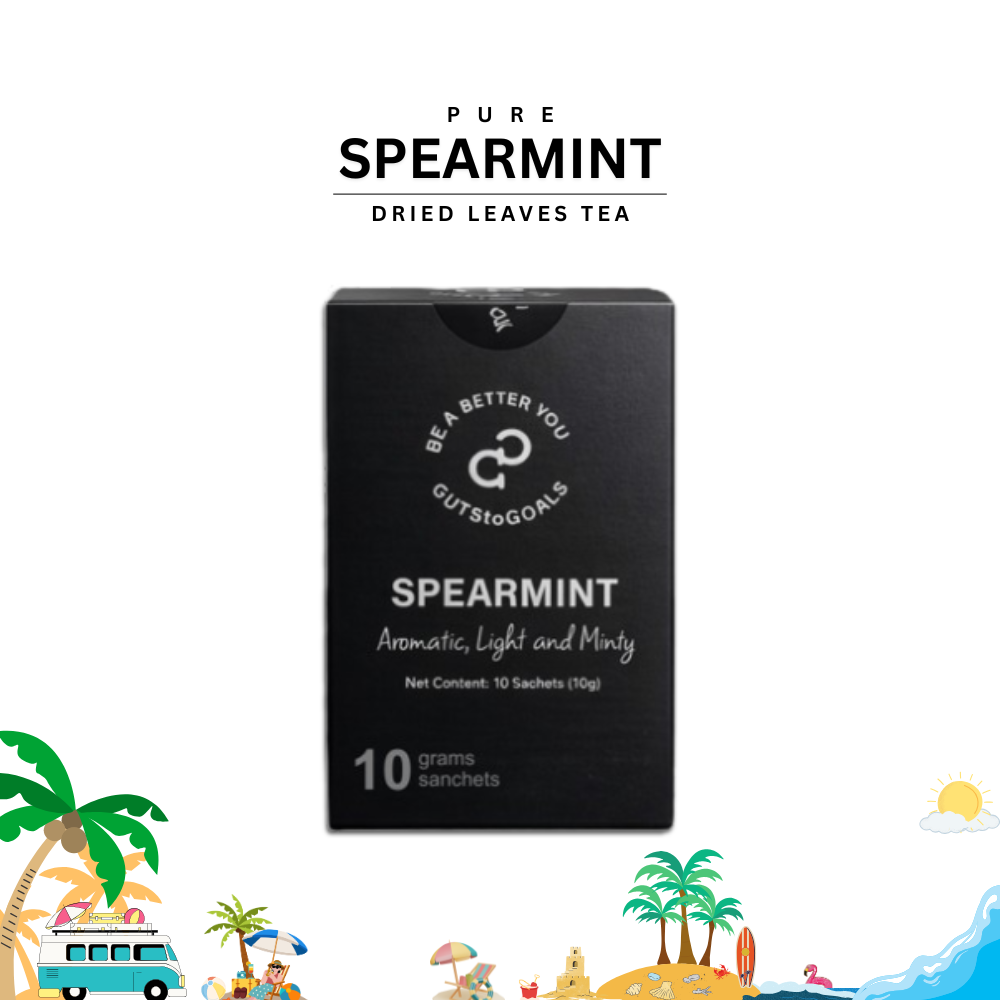 12-PCS Spearmint Tea [10s]