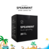 summer sp Spearmint Tea (20s 12-PCS)