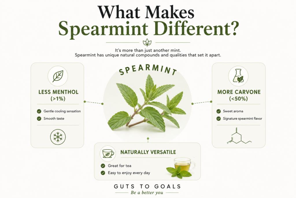 Spearmint has 50% to 70% Carvone and less than 1% menthol